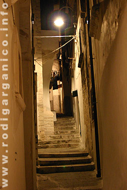 Gargano04.jpg