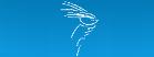 Logo-dsb-is-net.gif