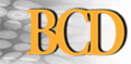 Logo-excelsystems-com.gif