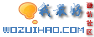 Logo-wozuihao-com.gif