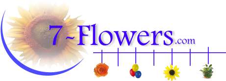 Logo-7-flowers-com.jpg