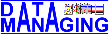 Logo-datamanaging-ch.gif