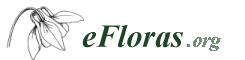 Logo-efloras-org.gif