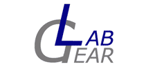 Logo-labgeardirect-com.gif