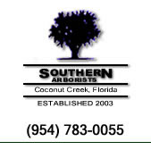 Logo-southernarbor-com.jpg