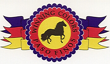 Logo-winningcolorspasos-com.jpg