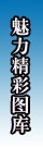 Logo-gaycom-cn.gif