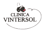 Logo-vintersol-com.gif