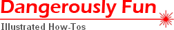 Logo-dangerouslyfun-com.gif