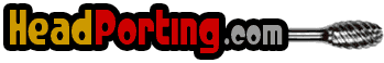 Logo-headporting-com.gif