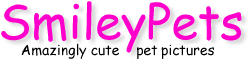 Logo-smileypets-com.gif