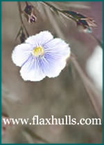 Logo-flaxhulls-com.jpg