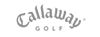 Logo-nevadabobs-co-uk.gif