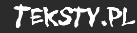 Logo-teksty-pl.gif