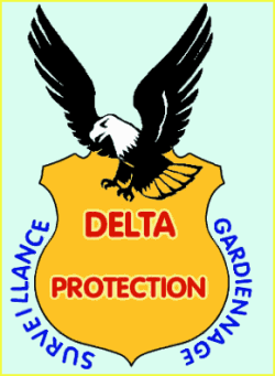 Logo-delta-protection-com.png