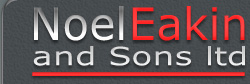 Logo-noeleakin-com.jpg