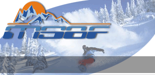 Logo-msbf-ru.gif