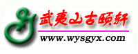 Logo-wysgyx-com.gif