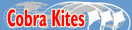 Logo-cobrakite-com.gif