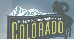 Logo-npcolorado-net.gif