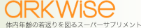 Logo-arkwise-co-jp.gif