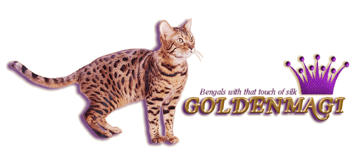 File:Logo-goldenmagi-com.gif