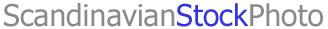 Logo-scanstockphoto-com.jpg