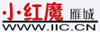 Logo-iic-cn.gif