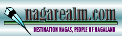 Logo-nagarealm-com.gif