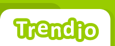 Logo-trendio-com.gif