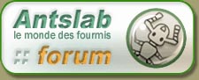 Logo-akolab-com.jpg