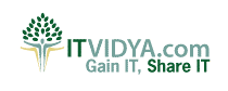 Logo-itvidya-com.png