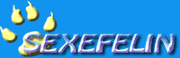 Logo-sexefelin-com.gif