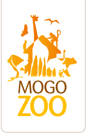 Logo-mogozoo-com-au.gif