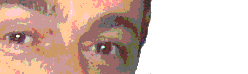 Logo-paolodp-com.gif