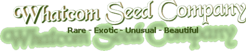 Logo-seedrack-com.gif