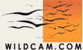 Logo-wildcam-com.gif