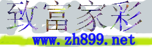 Logo-zh899-net.gif