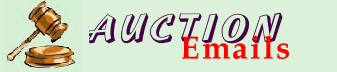 Logo-auction-emails-com.gif