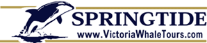Logo-springtidecharters-com.gif
