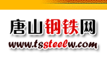Logo-tssteelw-net.gif