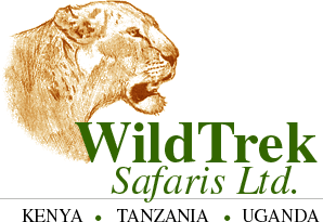 Logo-wildtreksafaris-com.gif