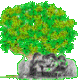 Logo-zelltree-com.gif