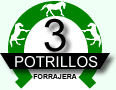 Logo-3potrillos-com.gif