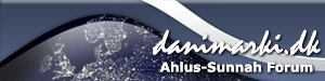 Logo-danimarki-dk.gif