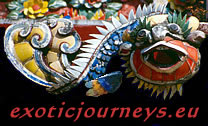 Logo-exoticjourneys-eu.jpg
