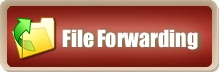 Logo-fileforwarding-com.jpg
