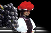 Logo-straussi-net.jpg
