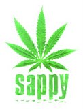 Sappylogo.jpg