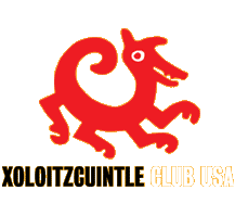 Logo-xoloworld-com.gif